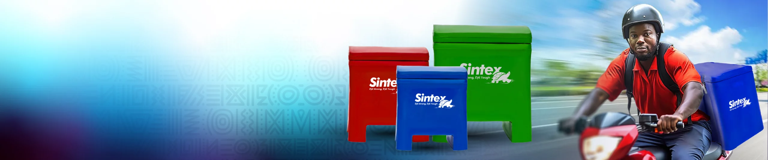 SINTEX DELIVERY MANAGEMENT